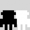Mr. Black & Mr. White