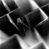 Dark Maze